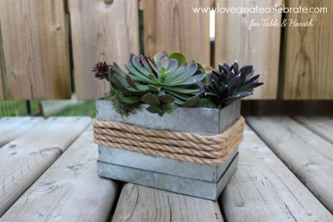 How cute!!!! Just a few simple items turn this little galvanized box into a rustic and industrial succulent planter!